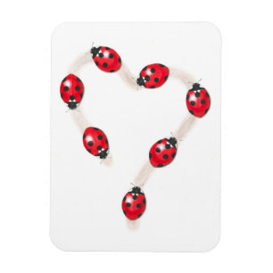 LadybugハートFlexi Magnet マグネット