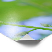 Ladybug忘れ on-me-not フォトプリント            (角)