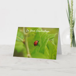 Ladybug登山からSuccess Graduation Card カード