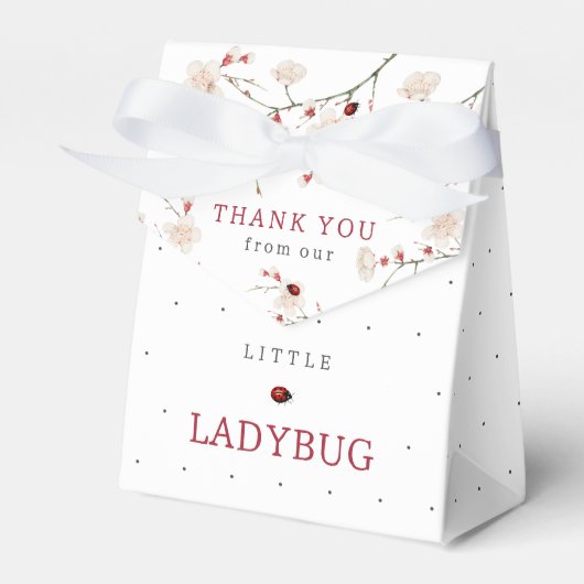 Ladybug赤ちゃんシャワー フェイバーボックス (正面サイド)