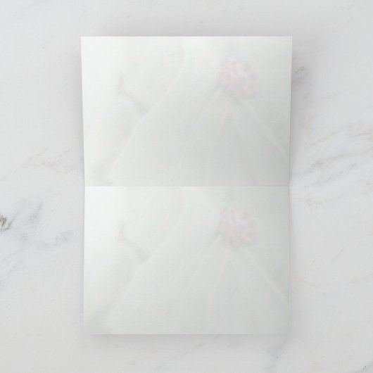 Ladybug – グリーティングカード (内部)