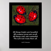 LADYBUG ALL THINGS BRIGHT POSTER ポスター (正面)