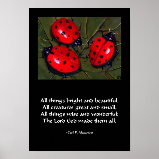 LADYBUG ALL THINGS BRIGHT POSTER ポスター (正面)