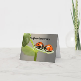 Ladybug Anniversaryグリーティングカード カード