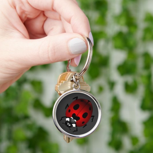 Ladybug Art Keychain Bug Keepsake Ladybug Gives キーホルダー (手)