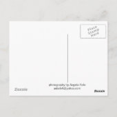 Ladybug Carmel Valley, CAポストカード ポストカード (裏面)