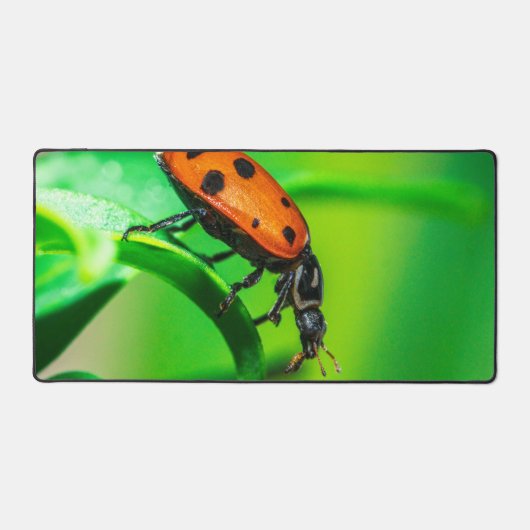 Ladybug Desk Mat | Nature Workspace Aesthetic デスクマット (正面)