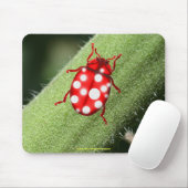 LadyBug Gift for Buglovers & Gardeners マウスパッド (マウス)