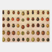 Ladybug Ladybird Beetle Insect Bug ラッピングペーパーシート (正面3)