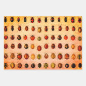 Ladybug Ladybird Beetle Insect Bug ラッピングペーパーシート (正面2)