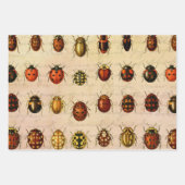 Ladybug Ladybird Beetle Insect Bug ラッピングペーパーシート (正面)