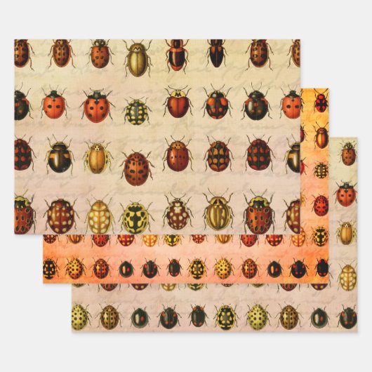 Ladybug Ladybird Beetle Insect Bug ラッピングペーパーシート (セット)