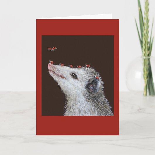 Ladybug Launchpadカード カード (正面)