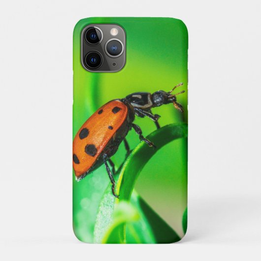 Ladybug Leaf Case-Mate iPhoneケース (裏)