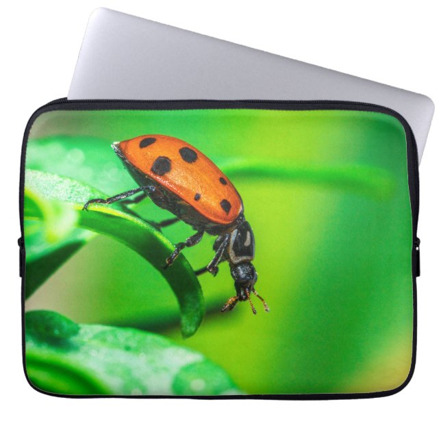Ladybug Macro Laptop Sleeve | Nature Tech Pouch ラップトップスリーブ (正面)