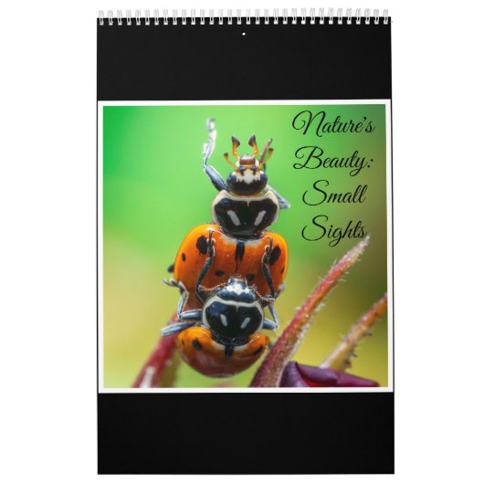 Ladybug Macro Nature Art Photography Calendar 2026 カレンダー (カバー)
