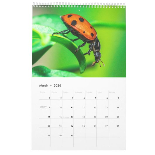 Ladybug Macro Nature Art Photography Calendar 2026 カレンダー (3月 2026)
