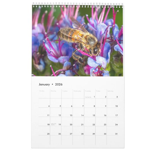 Ladybug Macro Nature Art Photography Calendar 2026 カレンダー (1月 2026)