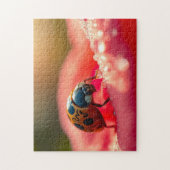 Ladybug macro on a flower ジグソーパズル (縦)