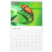 Ladybug Macro Photo Nature Wall Art Calendar 2026  カレンダー (3月 2027)