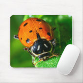 Ladybug Macro Photography Wall Art Vibrant Nature マウスパッド (マウス)