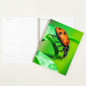 Ladybug Macro Planner Nature-Inspired Daily Notes プランナー手帳 (ディスプレー)