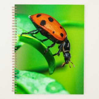 Ladybug Macro Planner Nature-Inspired Daily Notes プランナー手帳