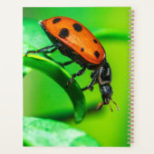 Ladybug Macro Planner Nature-Inspired Daily Notes プランナー手帳 (裏面)