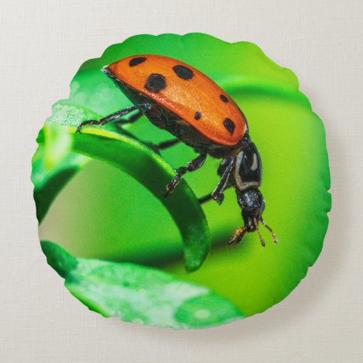 Ladybug Macro Round Throw Pillow Nature Decor ラウンドクッション (正面)