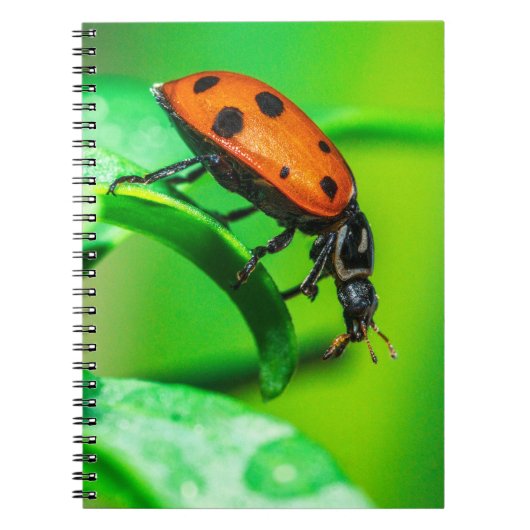 Ladybug Macro Spiral Notebook Nature Art Journal ノートブック (正面)