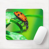 Ladybug Mouse Pad | Nature Desk Setup マウスパッド (マウス)