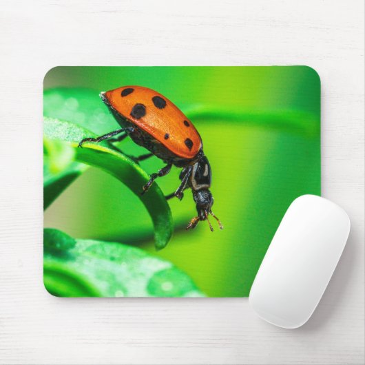 Ladybug Mouse Pad | Nature Desk Setup マウスパッド (マウス)