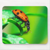 Ladybug Mouse Pad | Nature Desk Setup マウスパッド (正面)