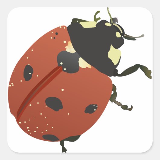 LadyBug Office Home Personalize Destiny Destiny'S スクエアシール (正面)