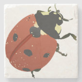 LadyBug Office Home Personalize Destiny Destiny'S ストーンコースター (正面)