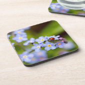 Ladybug on 忘れ-me-not Coaster コースター (左側)