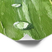 Ladybug on a Dewy Leaf – Nature Art Print ポスター (コーナー)