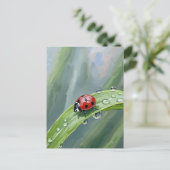 Ladybug on a Dewy Leaf – Nature Postcard ポストカード (スタンド正面)