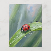Ladybug on a Dewy Leaf – Nature Postcard ポストカード (正面)