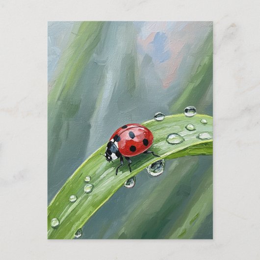 Ladybug on a Dewy Leaf – Nature Postcard ポストカード (正面)