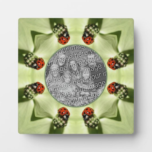 Ladybug On Dogwood自然自分の写真を追加 フォトプラーク (正面)