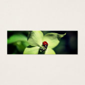Ladybug On Dogwood Flower自然ミニブックマーク (正面)