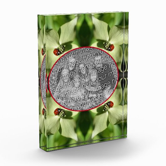 Ladybug On Dogwood Flower Add Your Own フォトブロック (左)