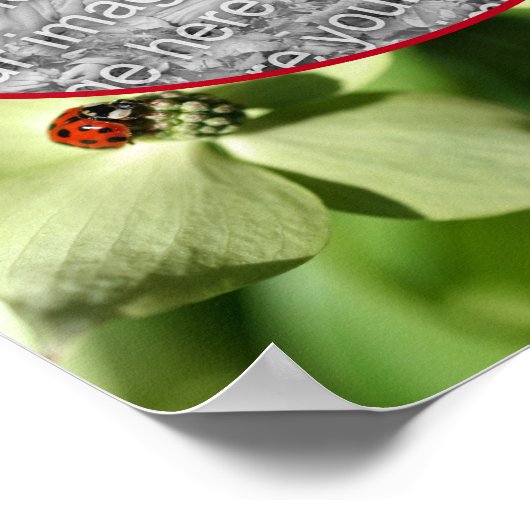 Ladybug On Dogwood Flower Frameあなたの写真を追加 ポスター (角)