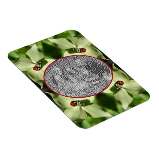 Ladybug On Dogwood Flower Frameあなたの写真を追加 マグネット (右側)