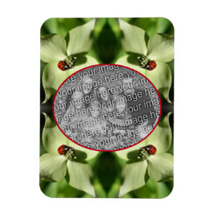 Ladybug On Dogwood Flower Frameあなたの写真を追加 マグネット