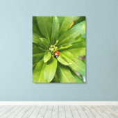 Ladybug on Flowers キャンバスプリント (インサイチュ (ウッドフロア))