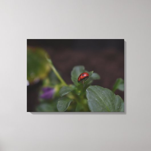 Ladybug on Flowers キャンバスプリント (正面)
