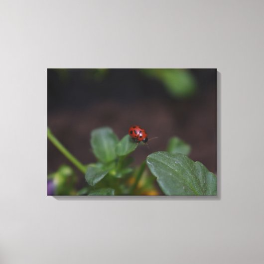 Ladybug on Flowers キャンバスプリント (正面)