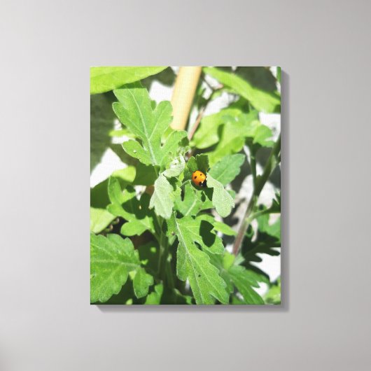 Ladybug on Flowers キャンバスプリント (正面)